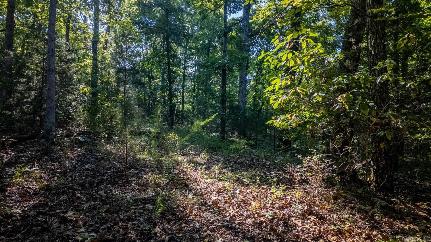 000 Calhan Circle  Clarkridge, AR