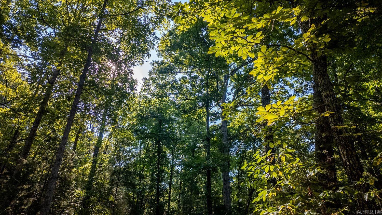 000 Calhan Circle  Clarkridge, AR
