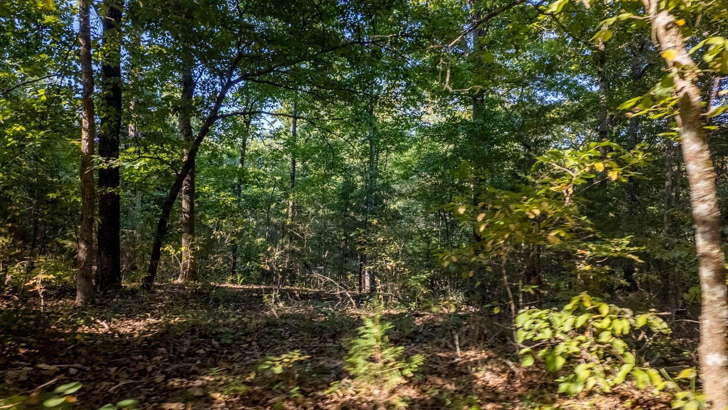 000 Calhan Circle  Clarkridge, AR