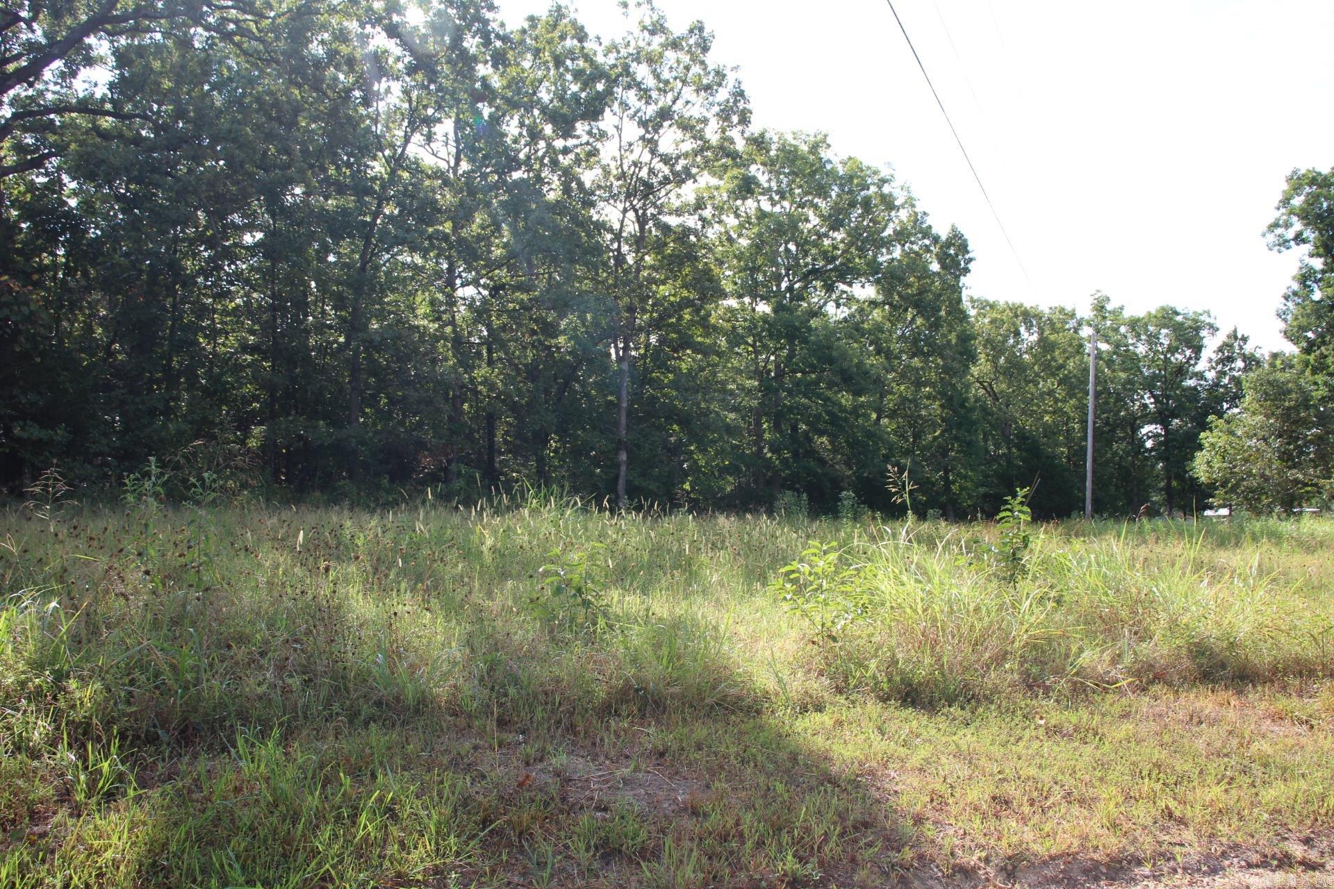 248 Daybreak  Yellville, AR