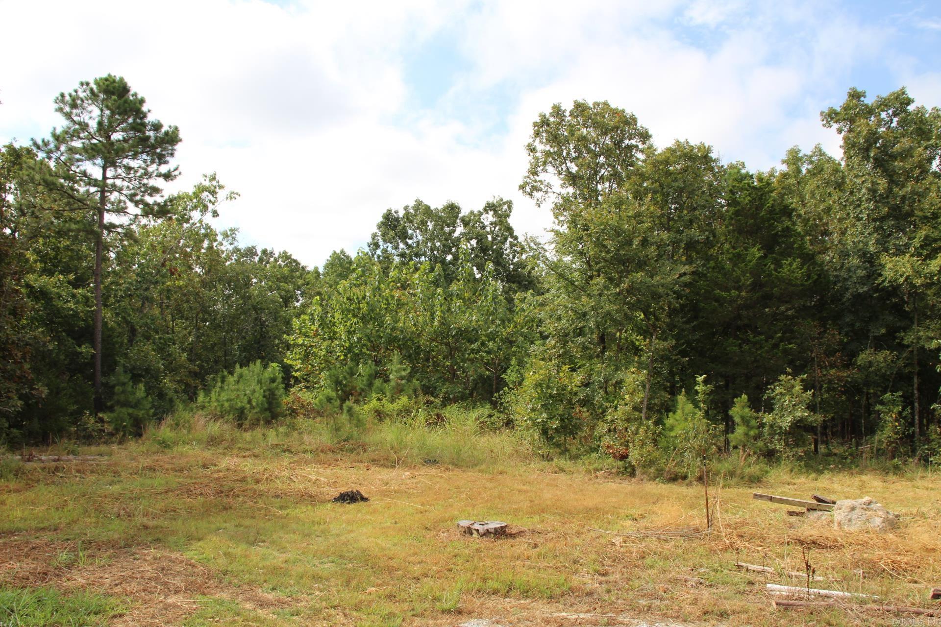 248 Daybreak  Yellville, AR