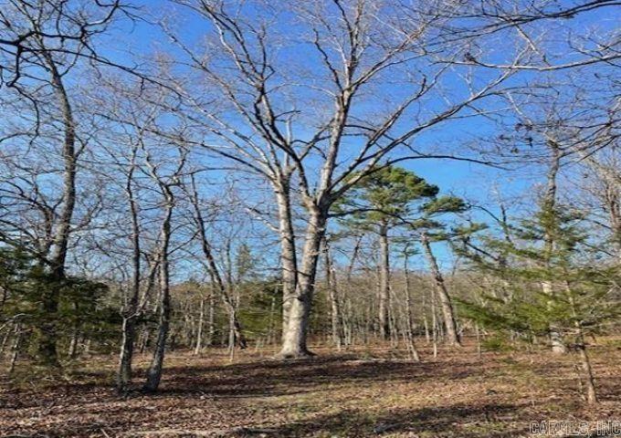 248 Daybreak  Yellville, AR