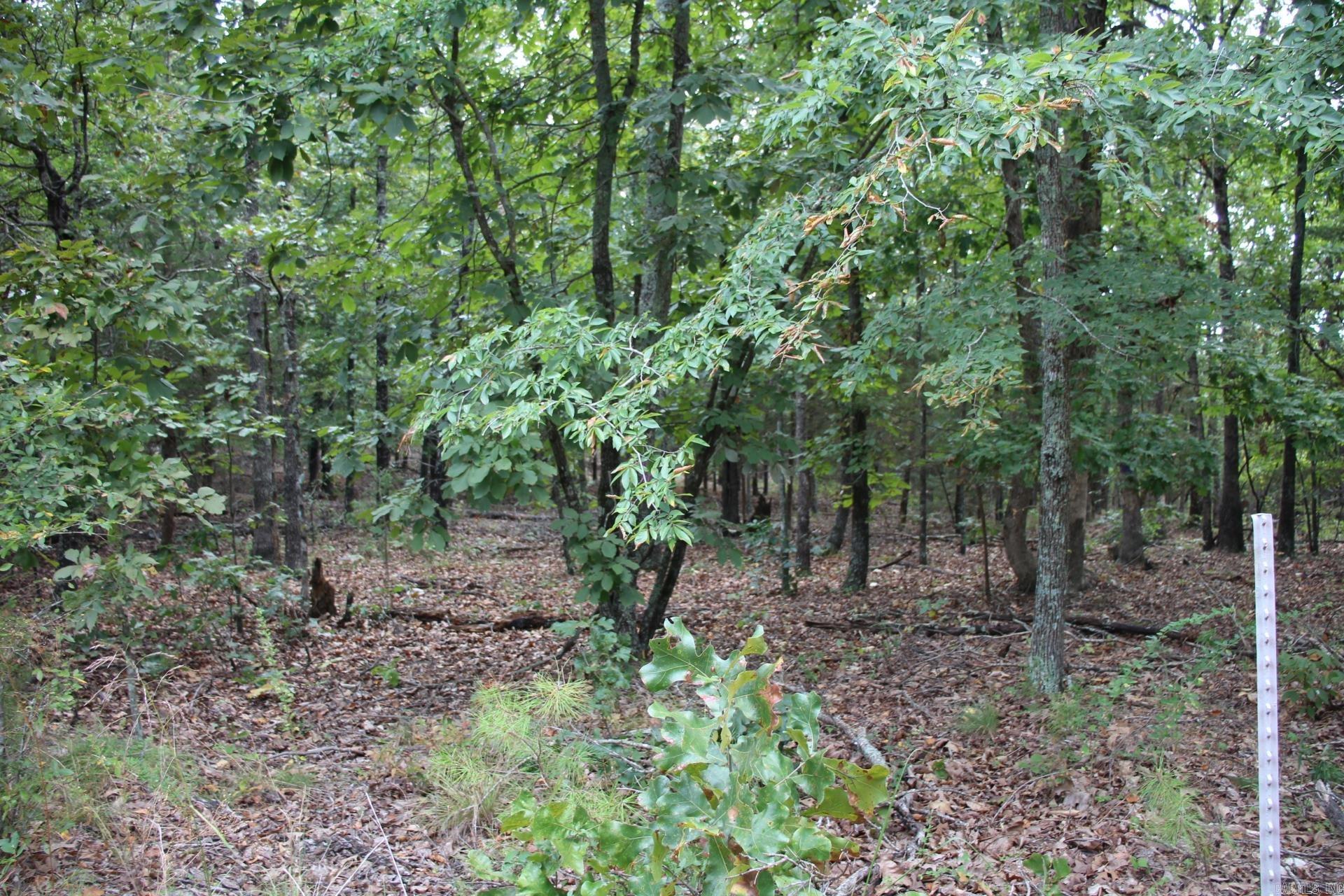 248 Daybreak  Yellville, AR