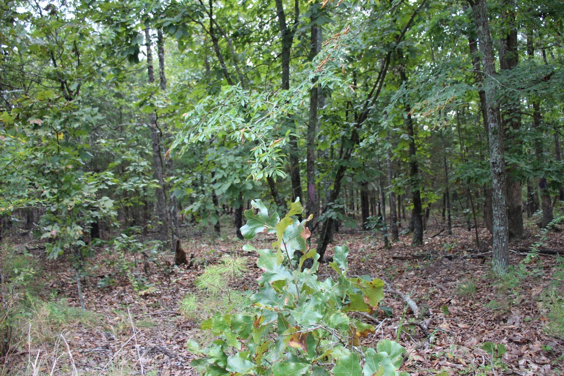 248 Daybreak  Yellville, AR