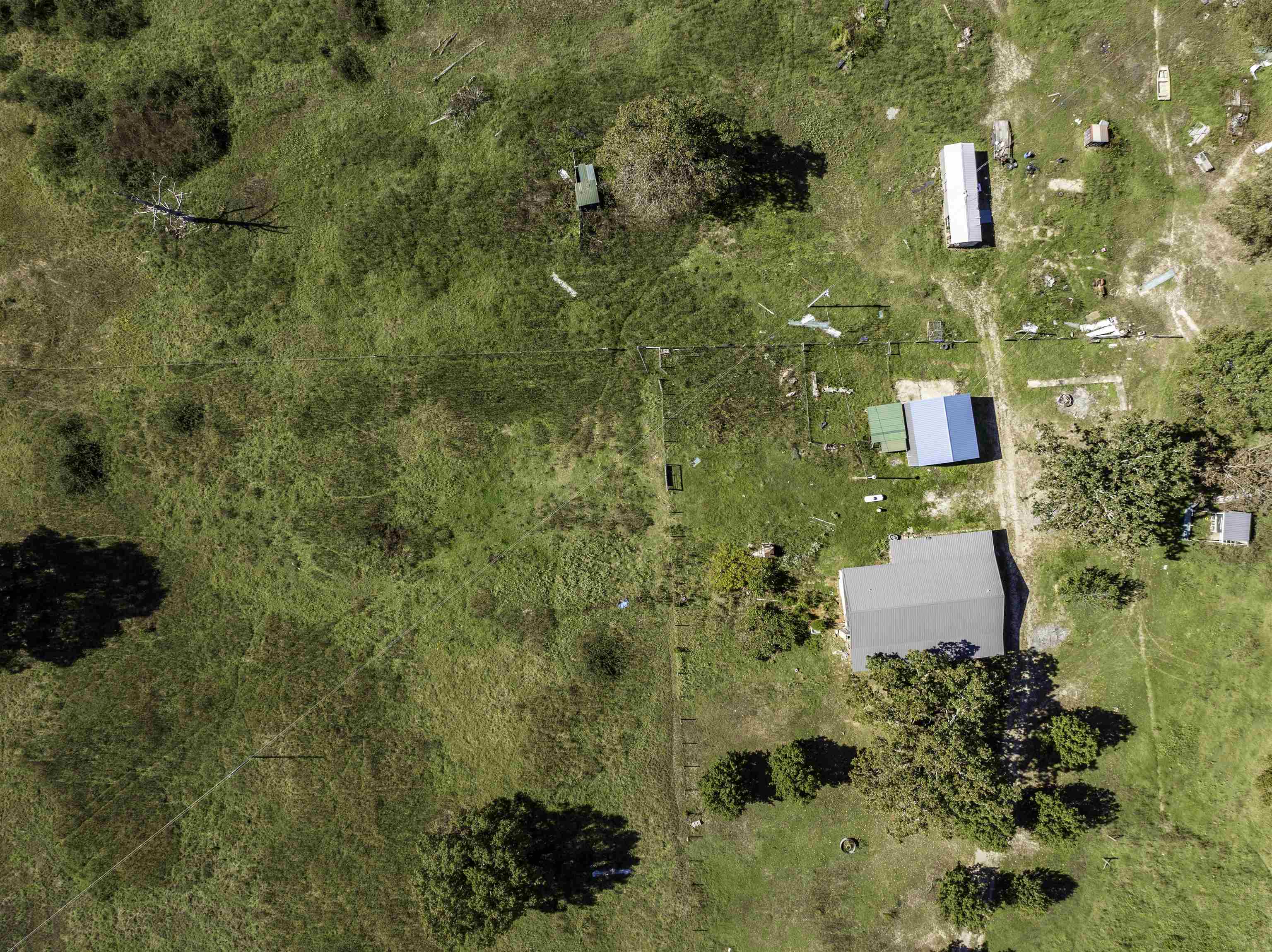 101 Hills Farm  Evening Shade, AR