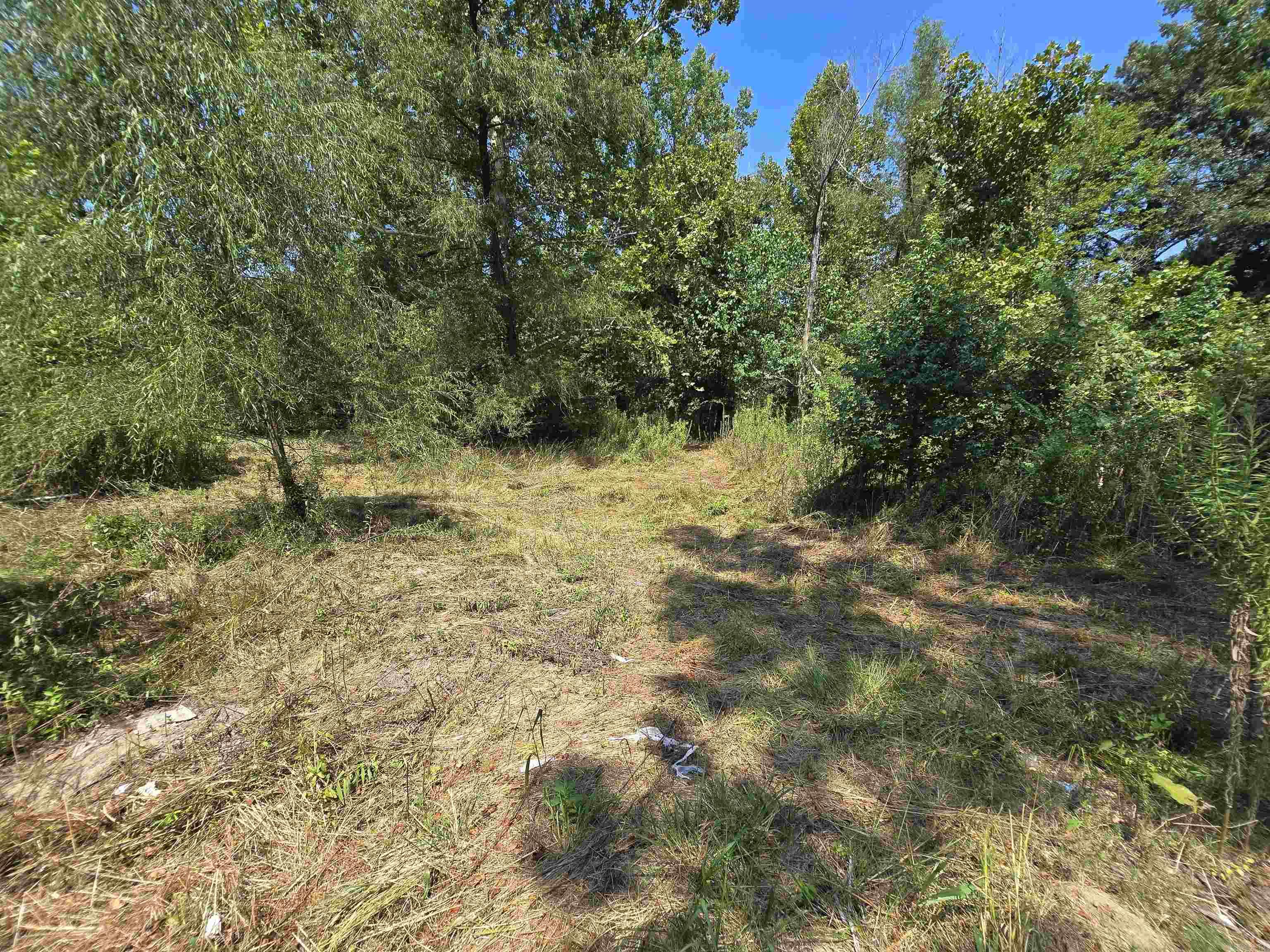 9480 HWY 270 W  Prattsville, AR