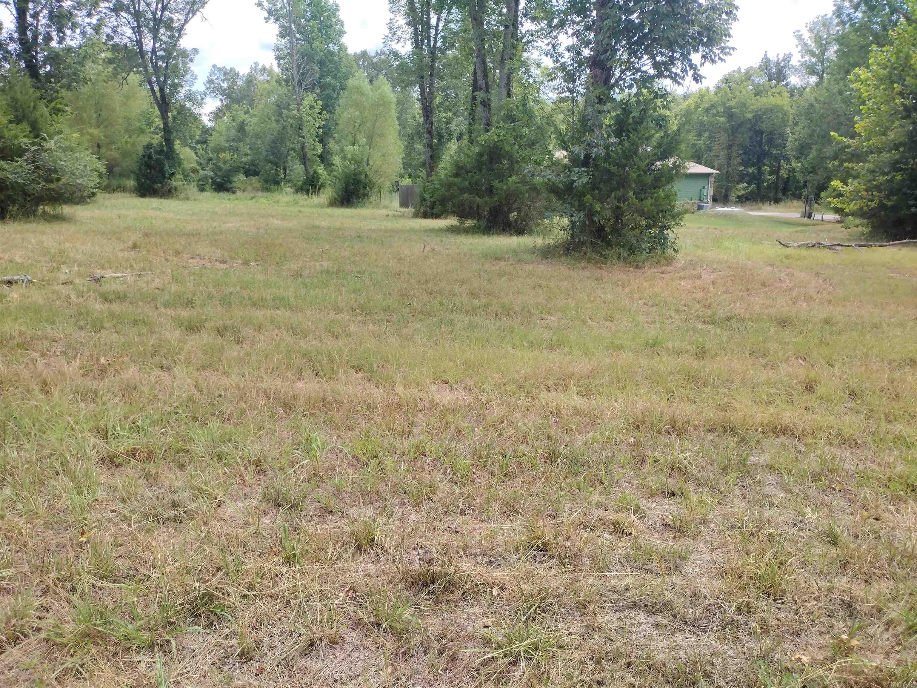 000 Frances Cove  Mountain View, AR