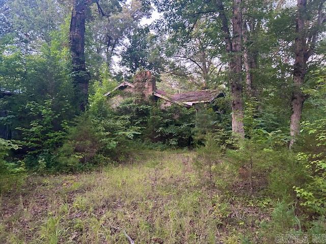 1602 Turkey Creek  Mountain View, AR