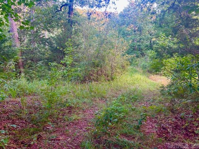 1602 Turkey Creek  Mountain View, AR
