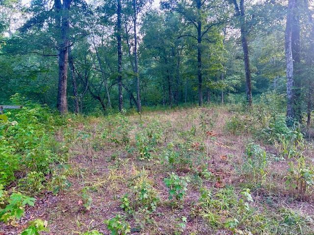 1602 Turkey Creek  Mountain View, AR
