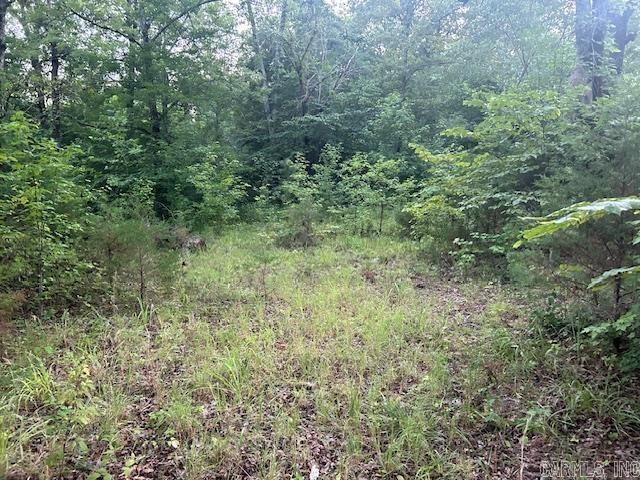 1602 Turkey Creek  Mountain View, AR