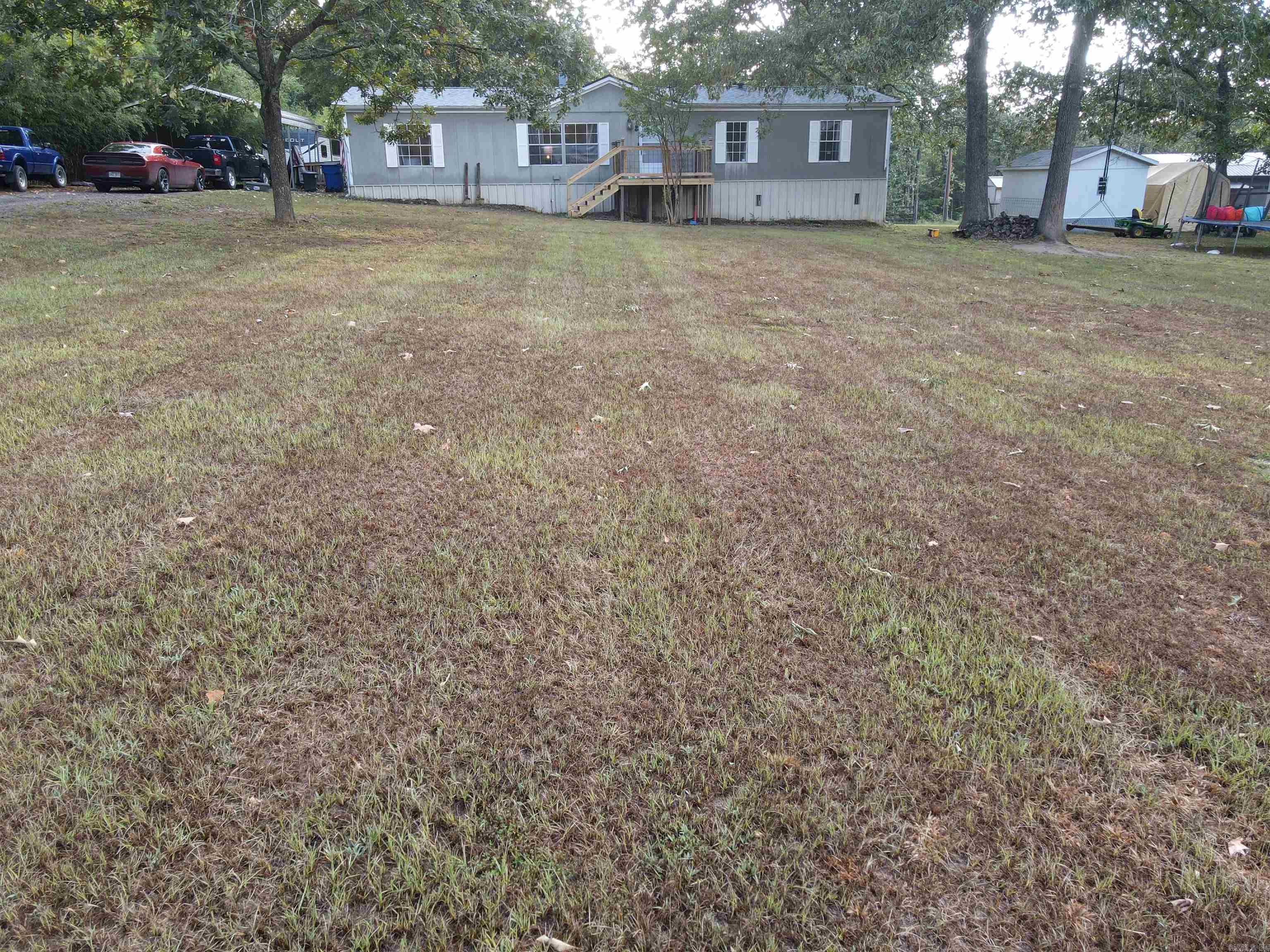 3 Robin  Greenbrier, AR