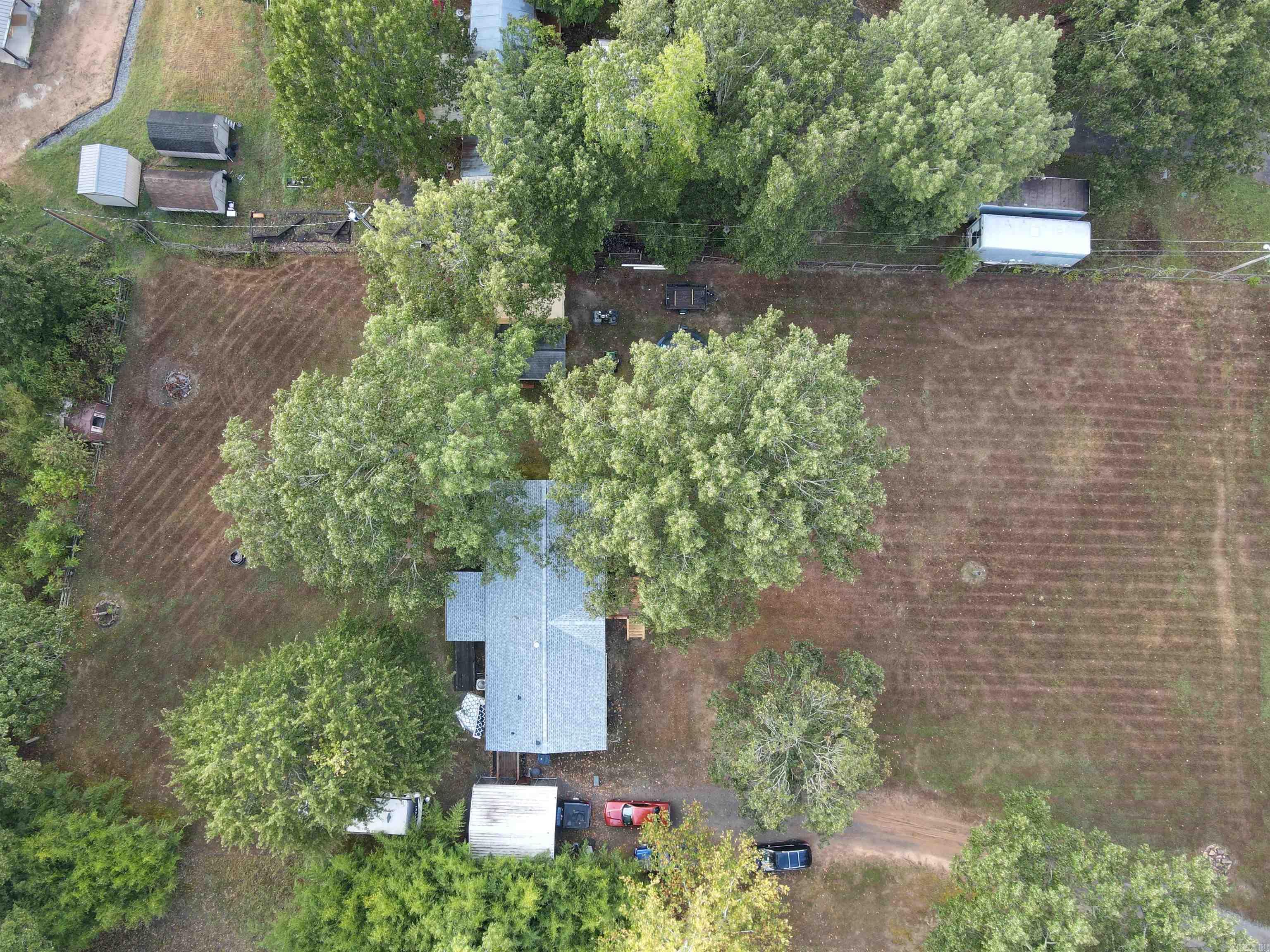 3 Robin  Greenbrier, AR