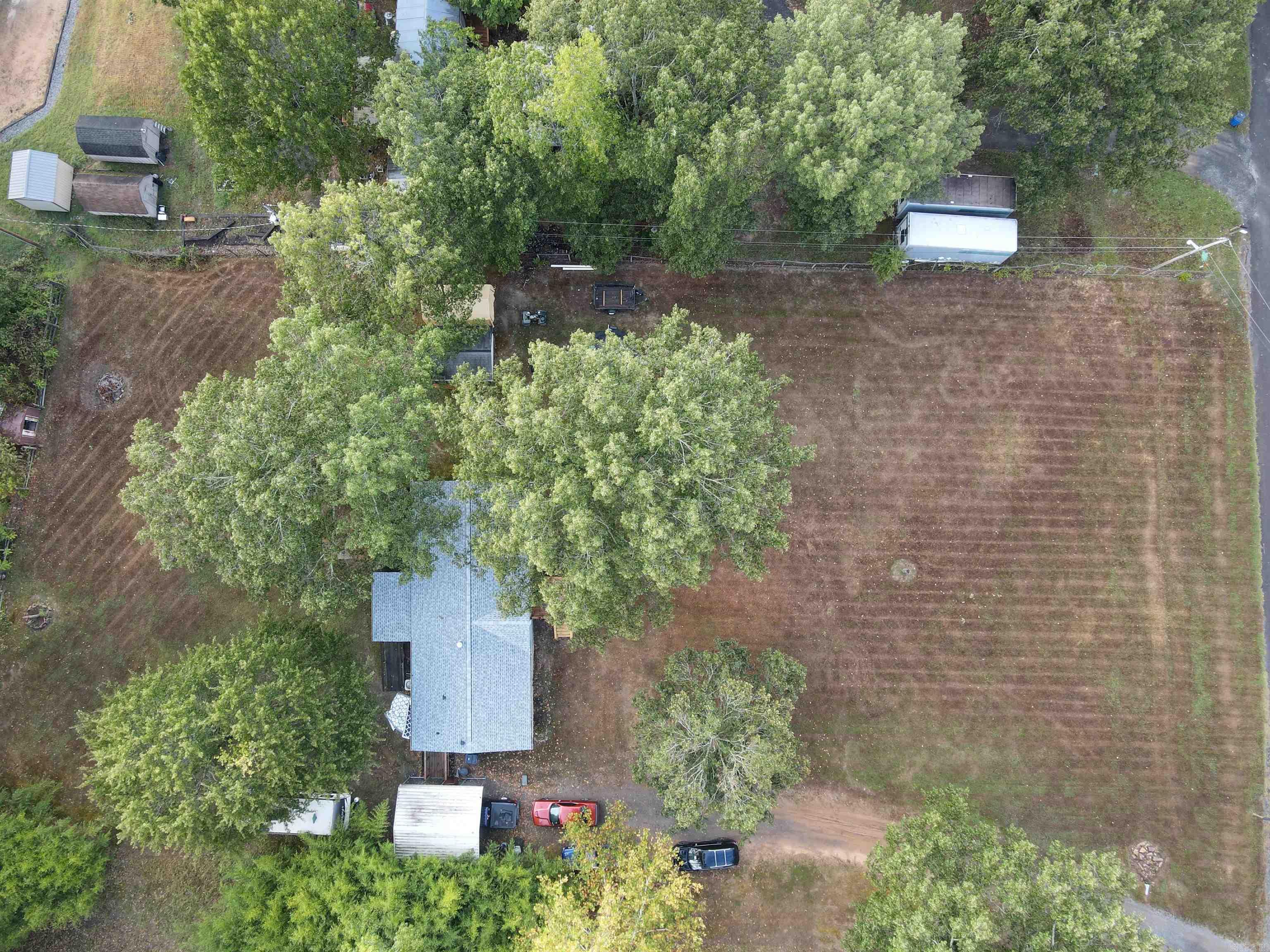 3 Robin  Greenbrier, AR