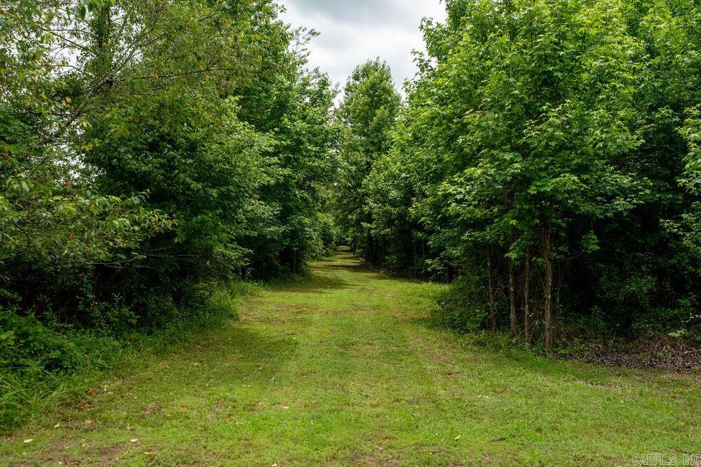 65 Five Mile Rd.  Drasco, AR