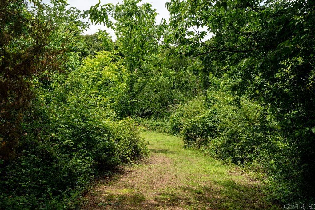 65 Five Mile Rd.  Drasco, AR