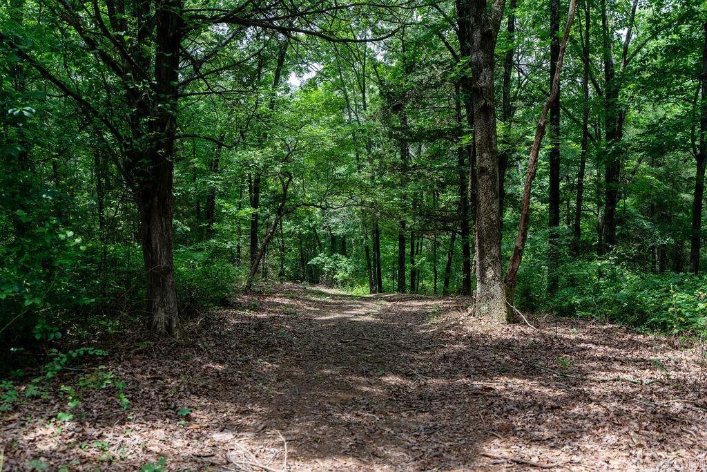 65 Five Mile Rd.  Drasco, AR