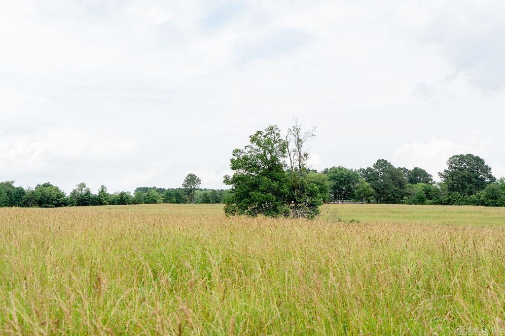 65 Five Mile Rd.  Drasco, AR