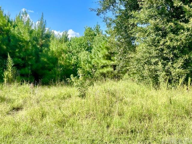 TBD Miller County 5  Doddridge, AR