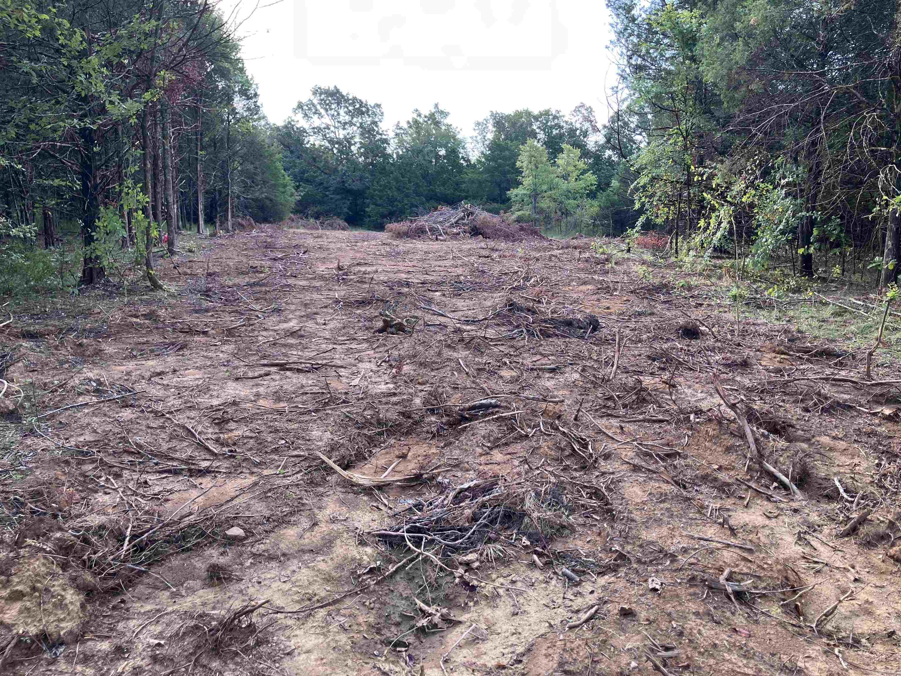 113 Hudson Ridge  Bald Knob, AR
