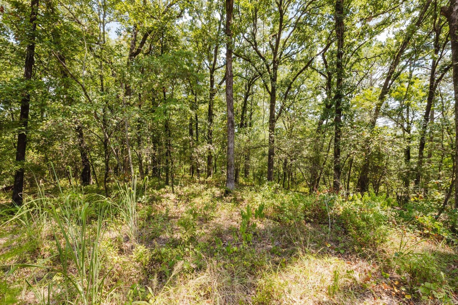 18639 Tadlock Circle  Alexander, AR