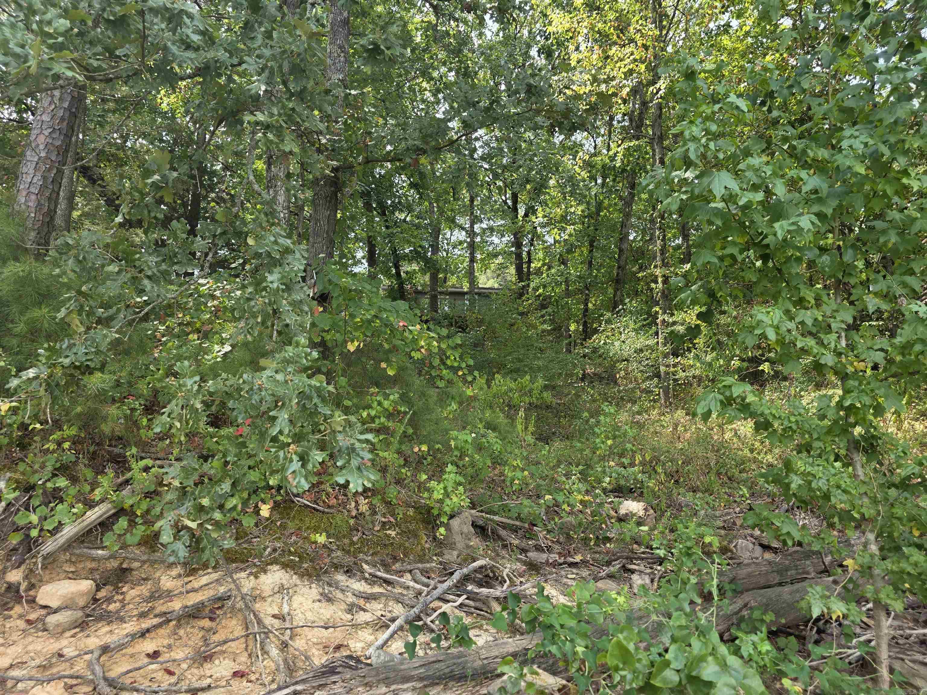 1000 Twin Coves  Greers Ferry, AR
