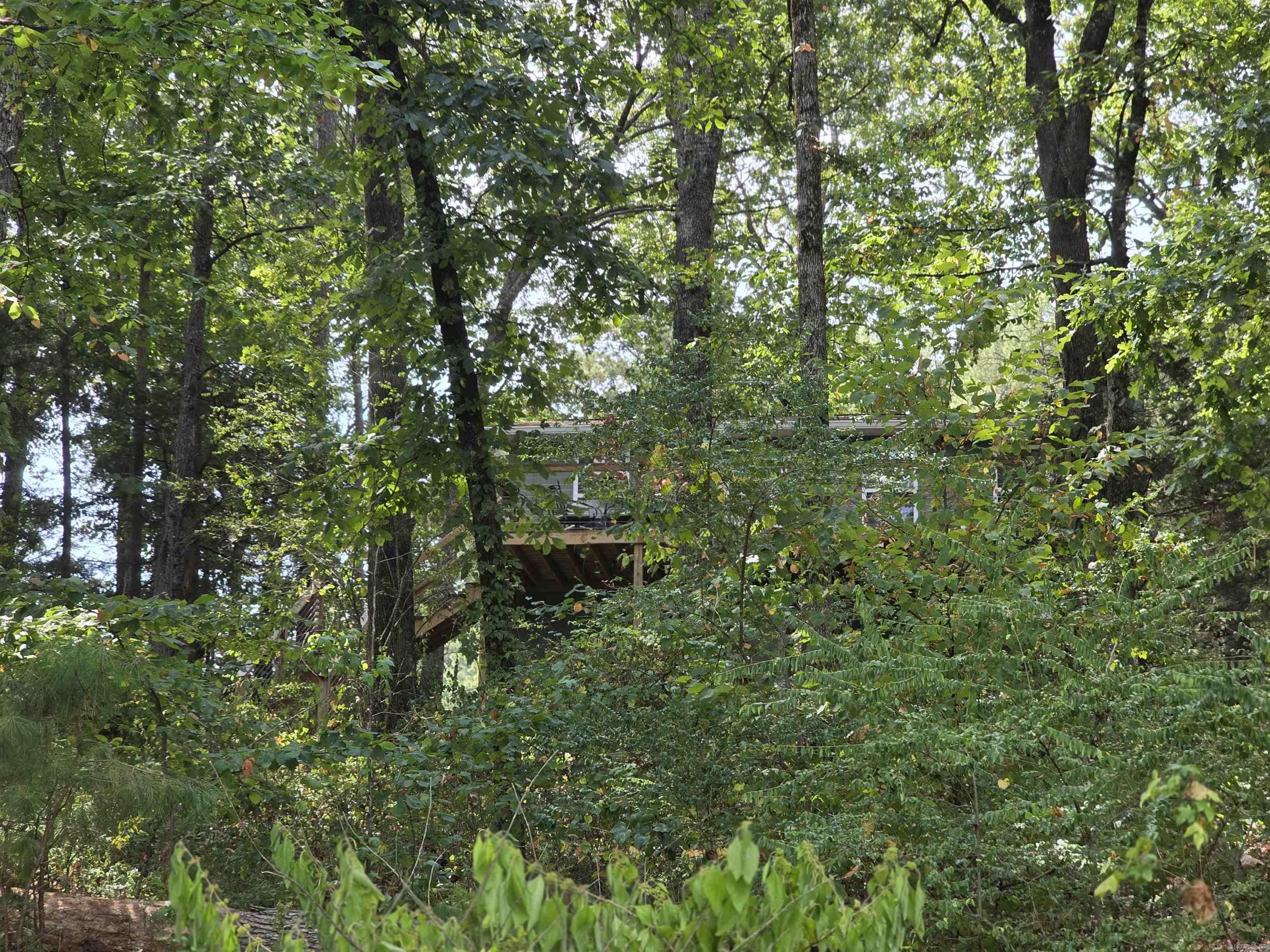 1000 Twin Coves  Greers Ferry, AR