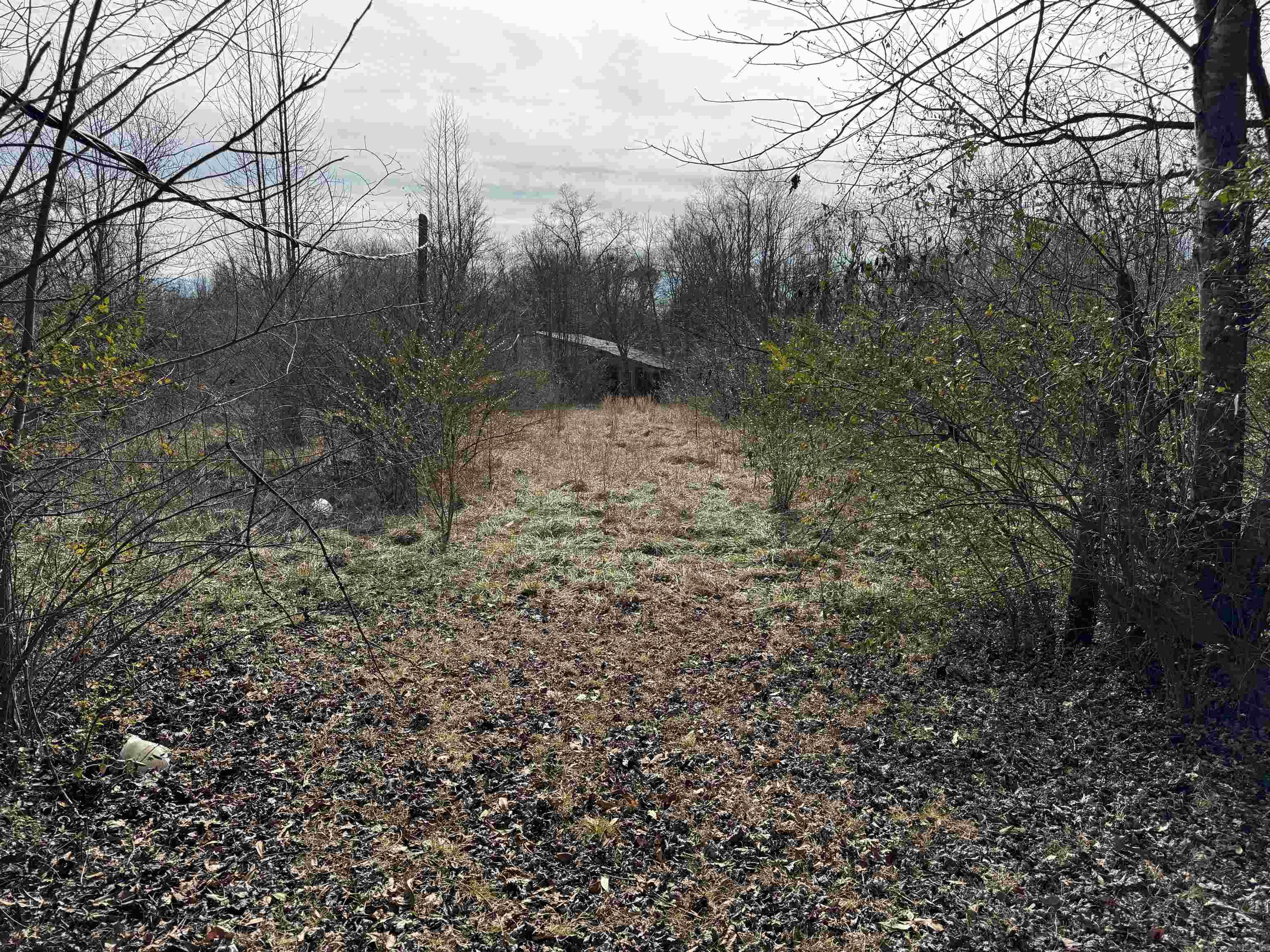 4 Spring Valley  Batesville, AR