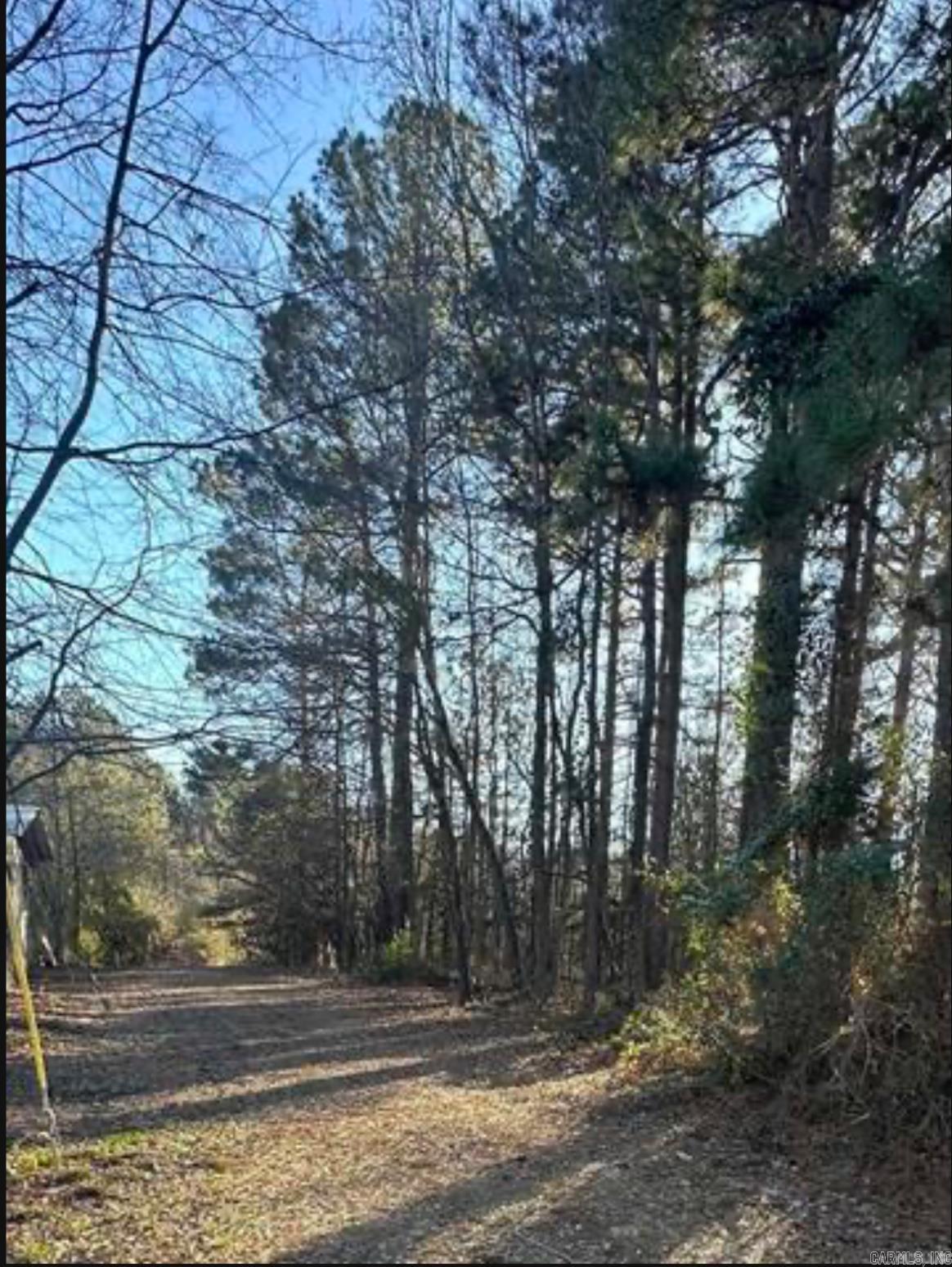 183 Grant 49  Sheridan, AR