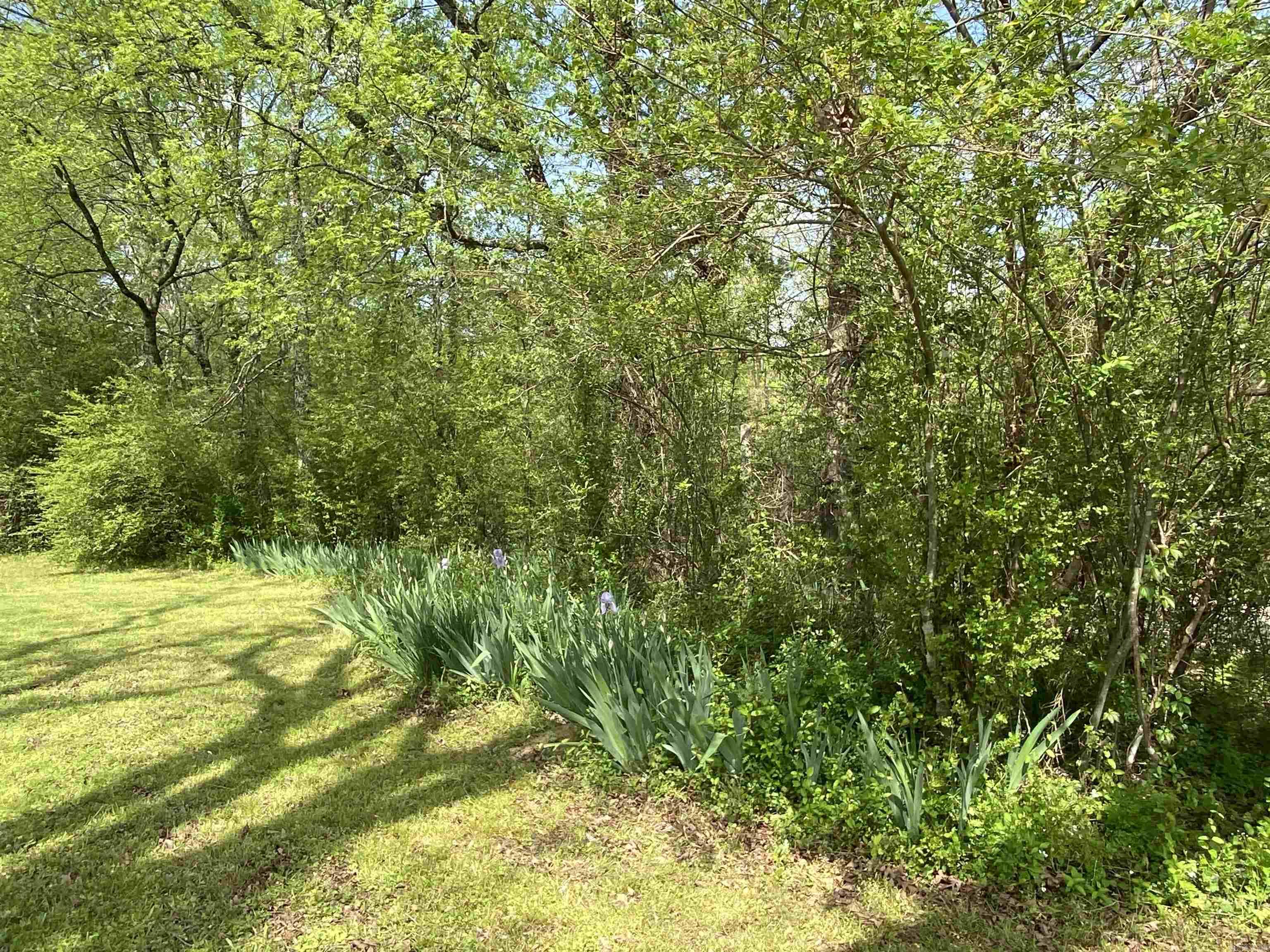 39 & 41 Mockingbird Lane Story, AR 71970