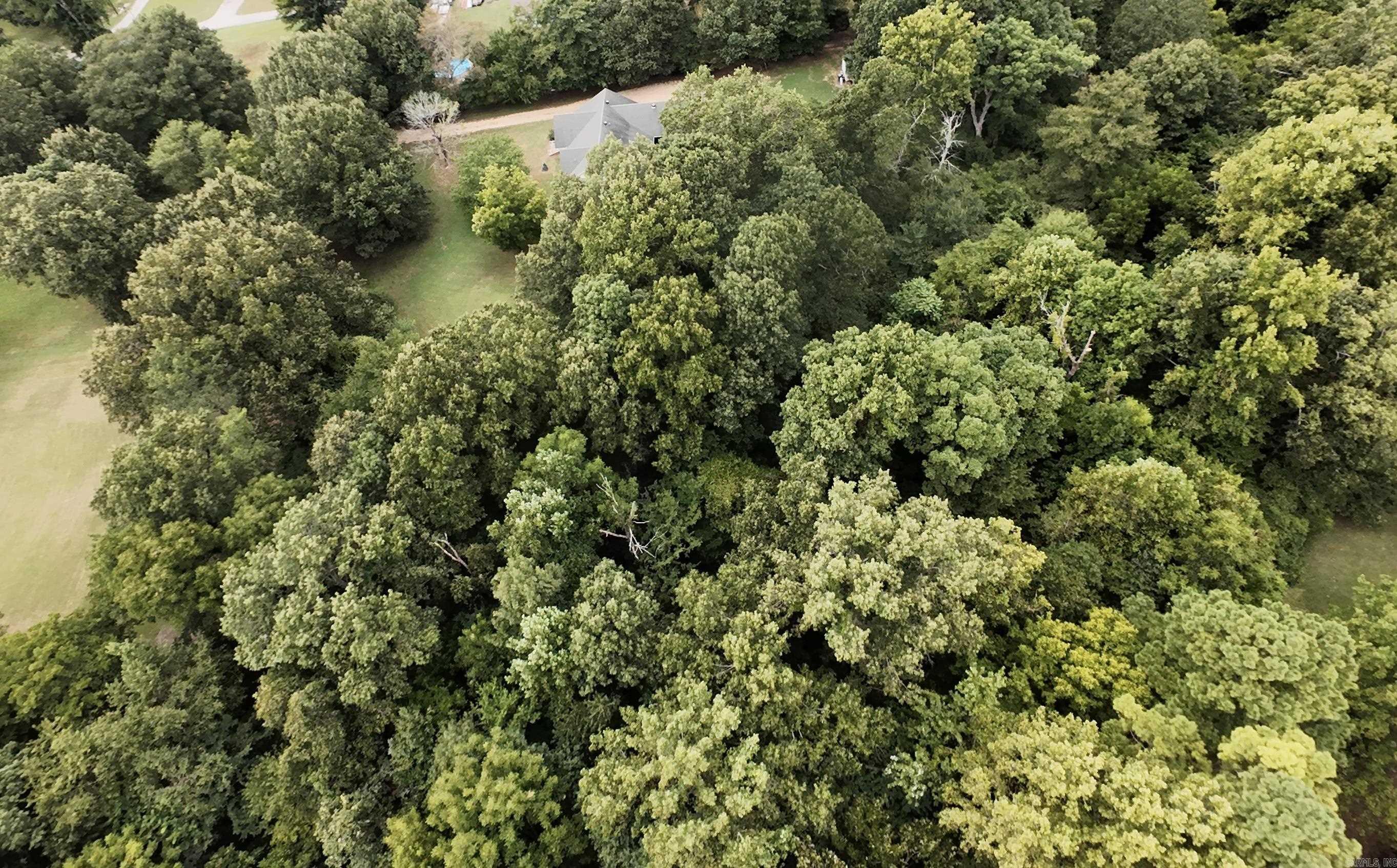 1377 W Court Street Piggott, AR 72454