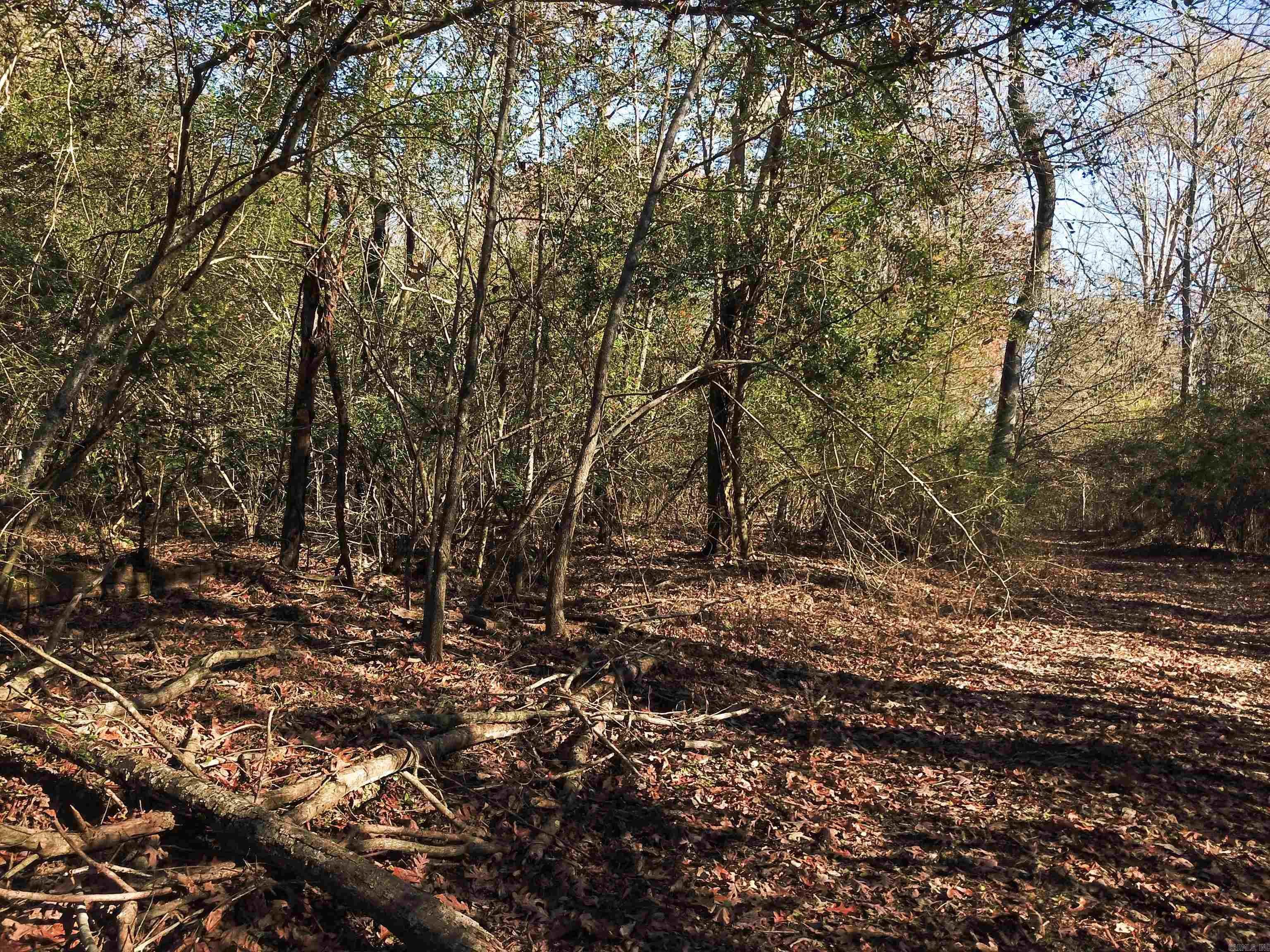 000 White Oak Slough  Arkadelphia, AR