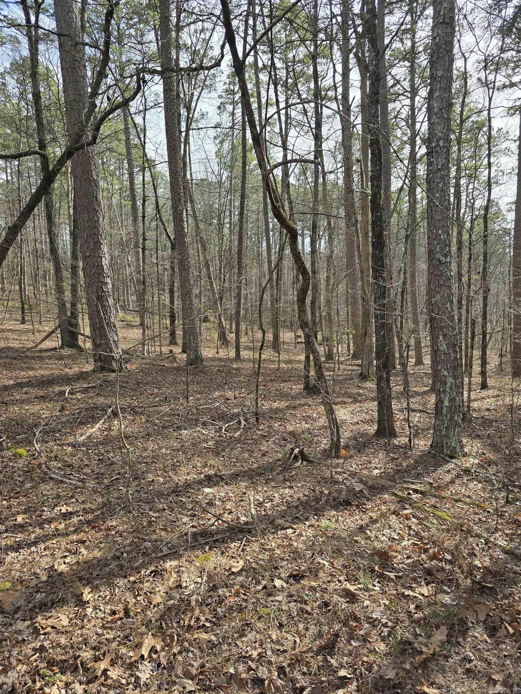 Lot 010 palencia  Hot Springs Village, AR
