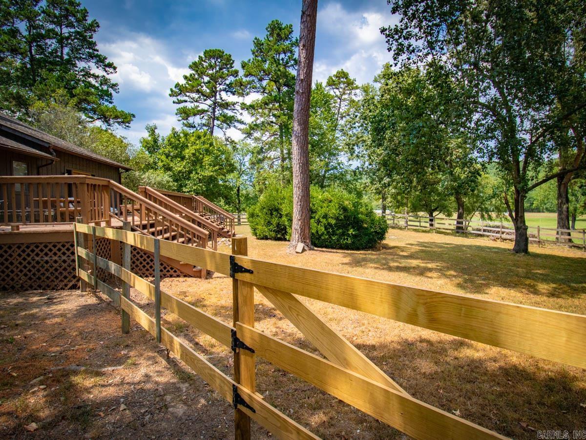 23 Witness Tree  Paron, AR