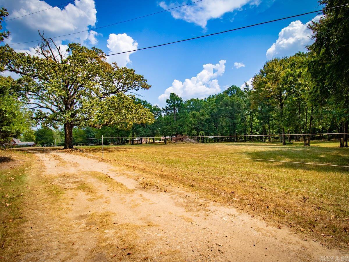 23 Witness Tree  Paron, AR