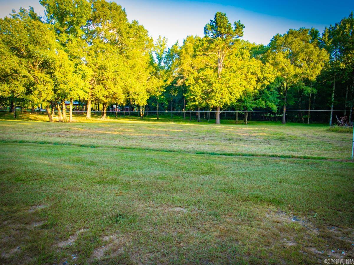 23 Witness Tree  Paron, AR