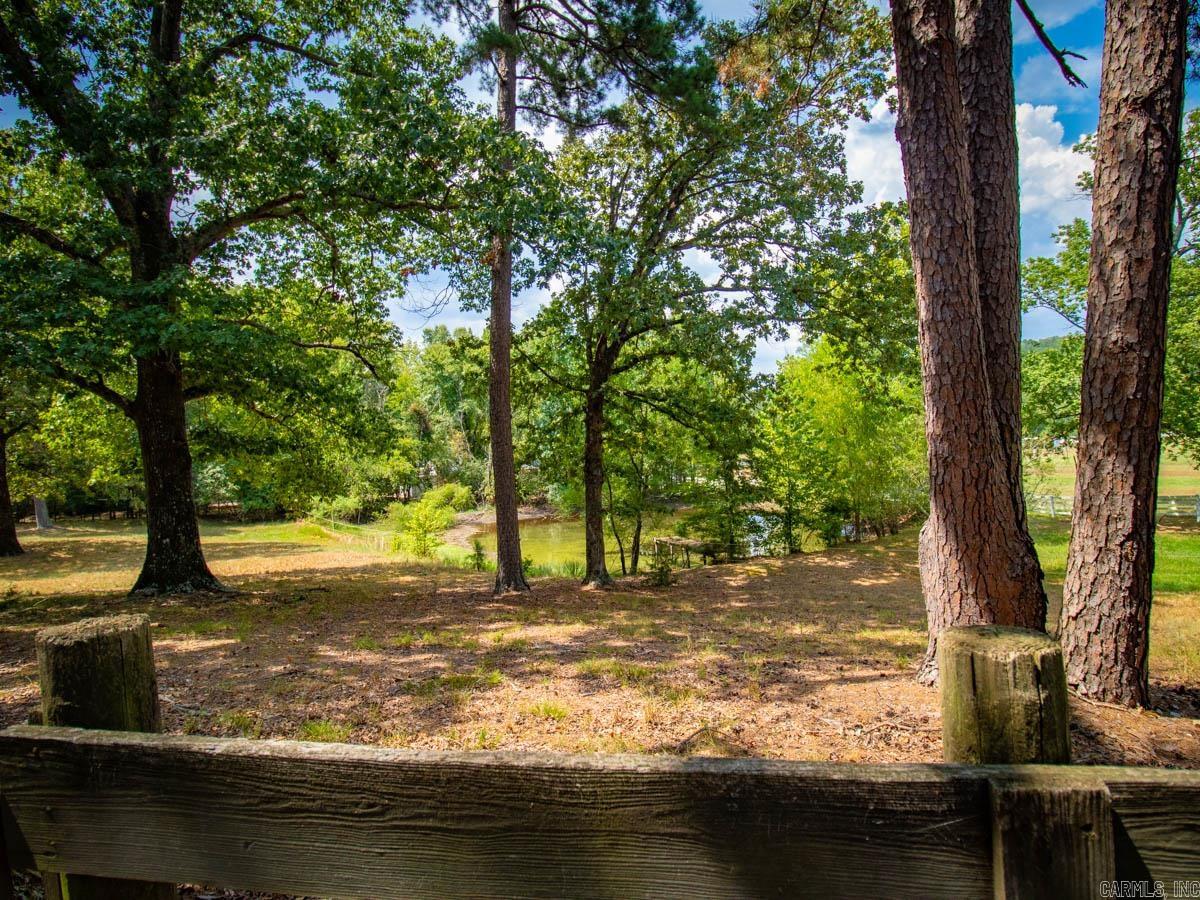 23 Witness Tree  Paron, AR