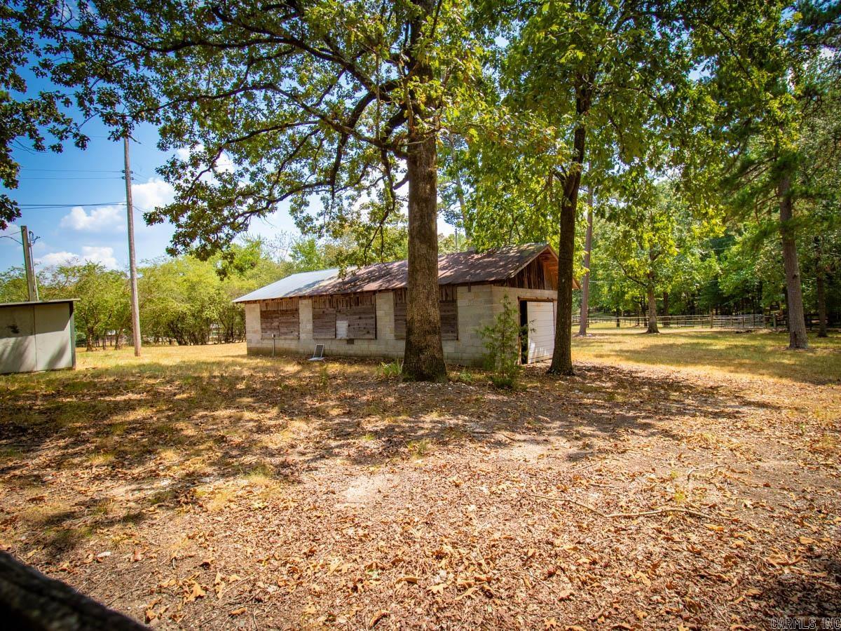 23 Witness Tree  Paron, AR