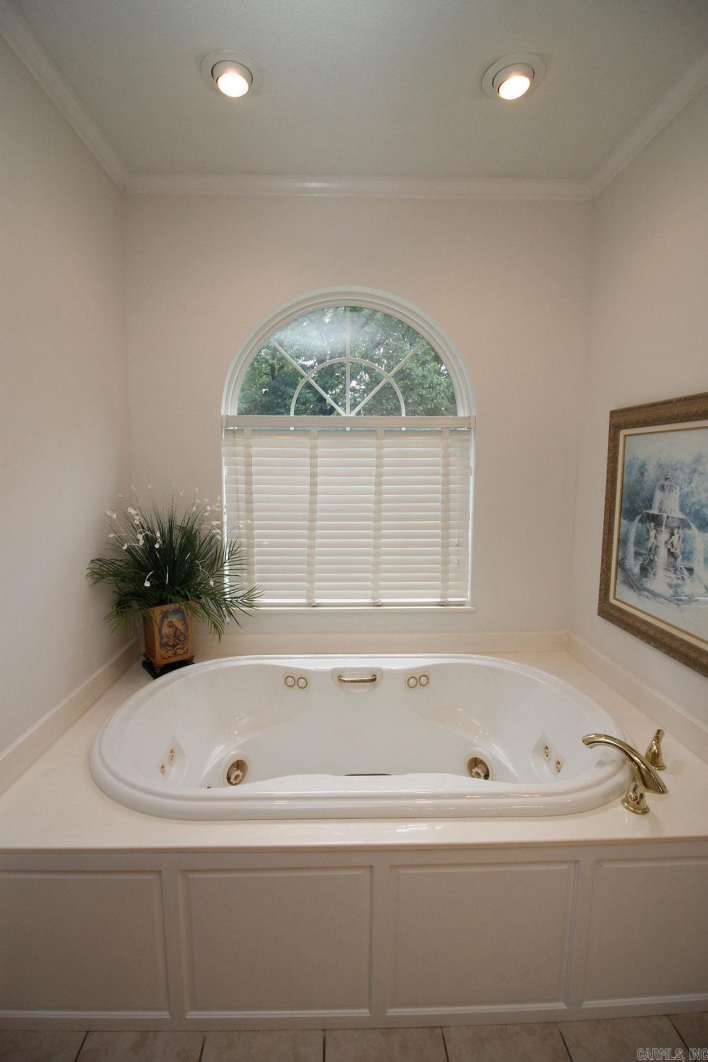 113 Pine Knot Rd  Paragould, AR