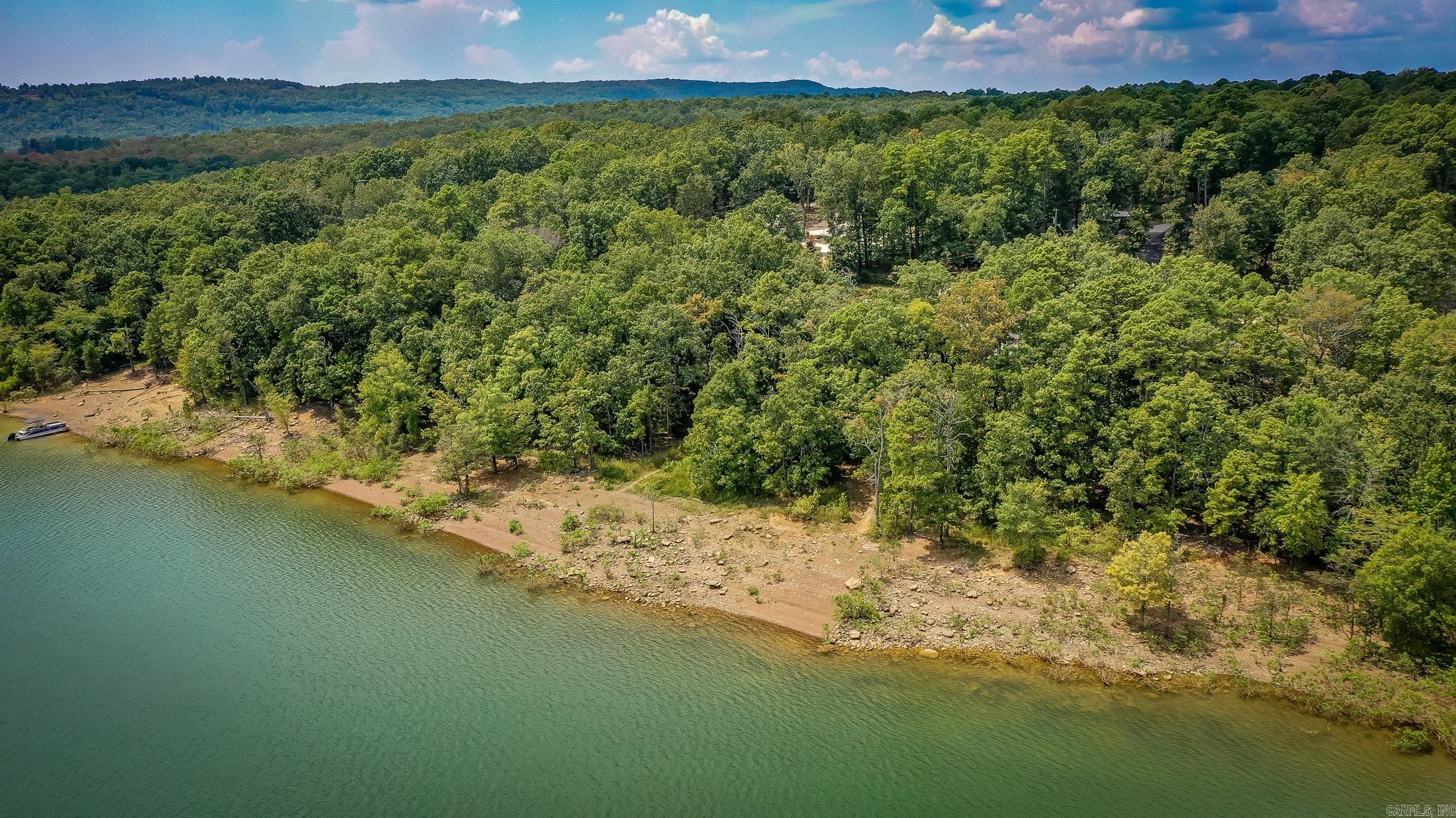 445 Tortoise Bay  Higden, AR