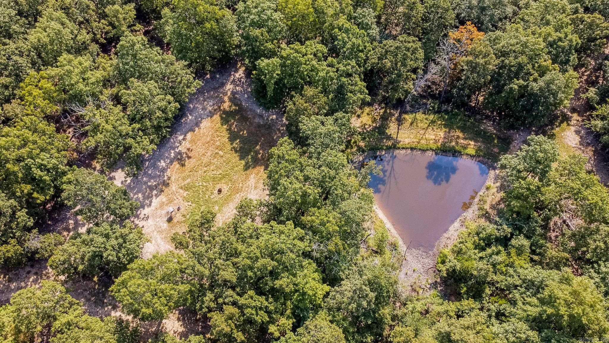 314 Bear Bluff Trail  Ravenden, AR
