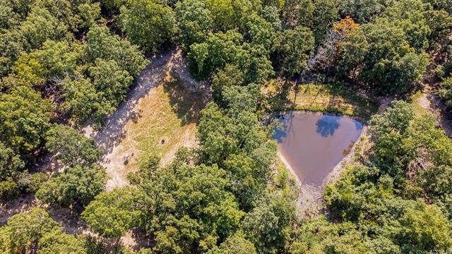 314  Bear Bluff Trail  Ravenden, AR
