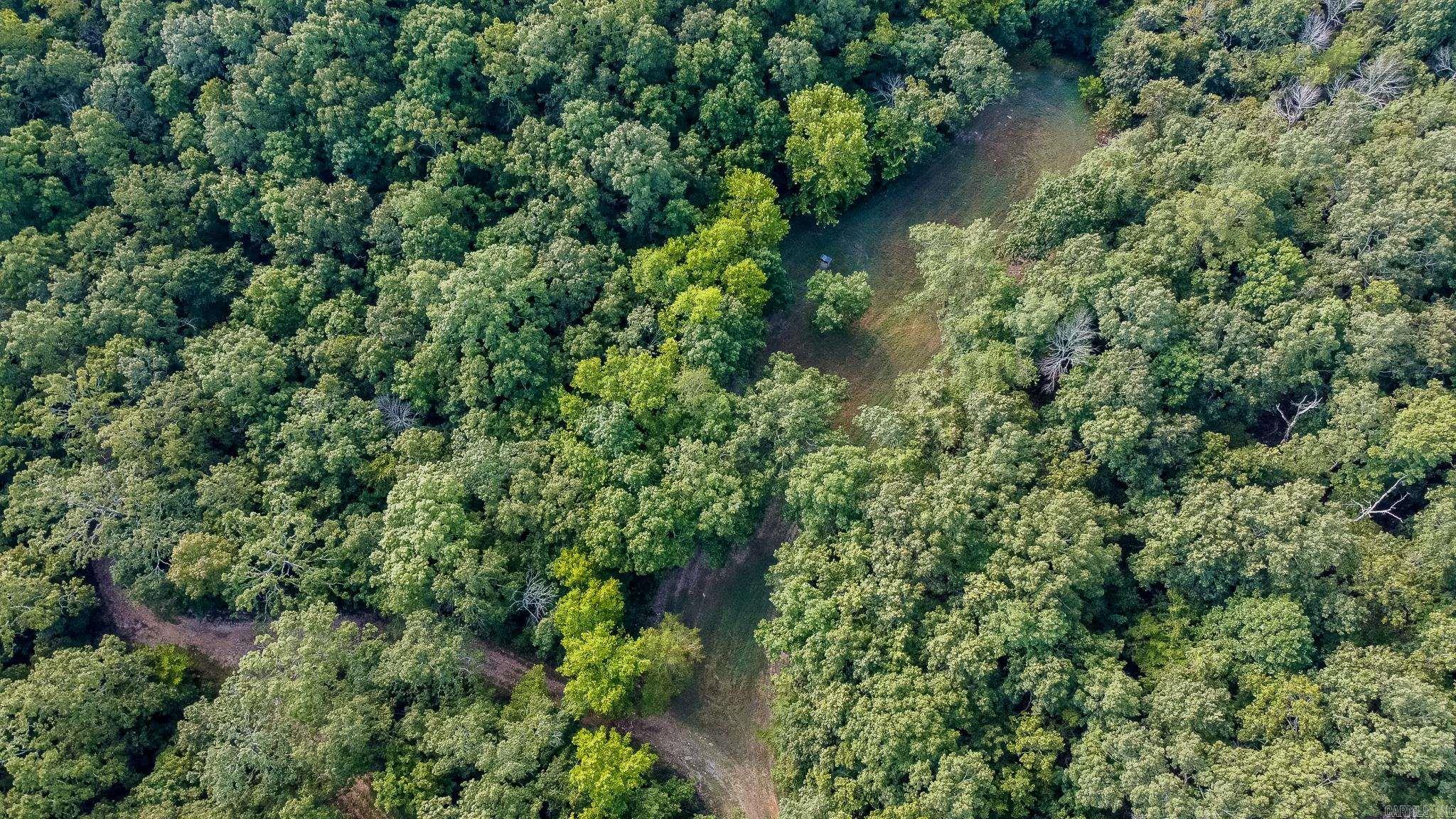 314 Bear Bluff Trail  Ravenden, AR