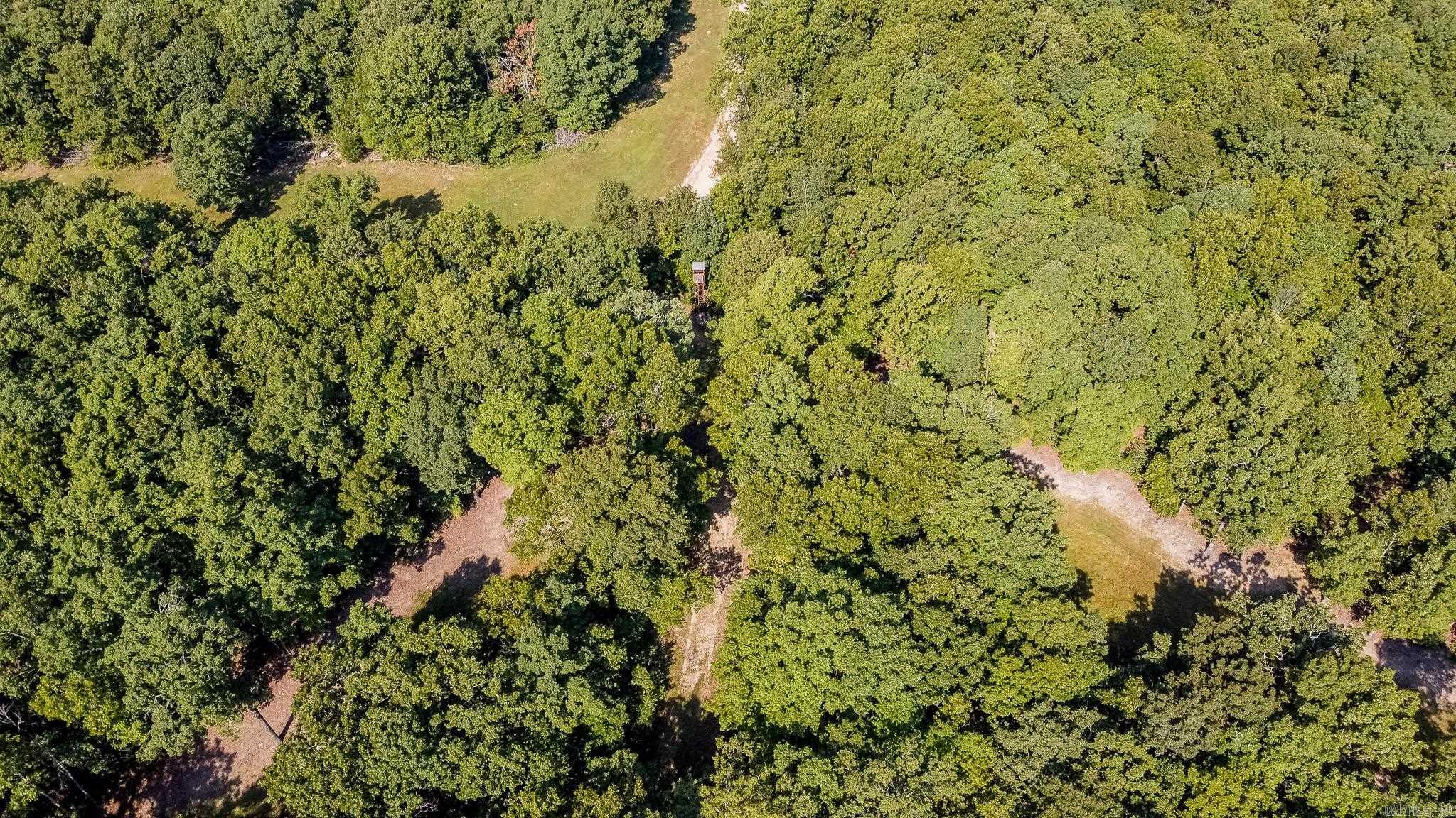 314 Bear Bluff Trail  Ravenden, AR