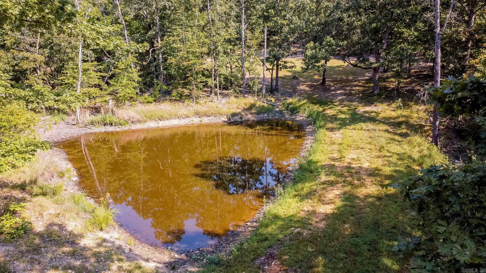314 Bear Bluff Trail  Ravenden, AR