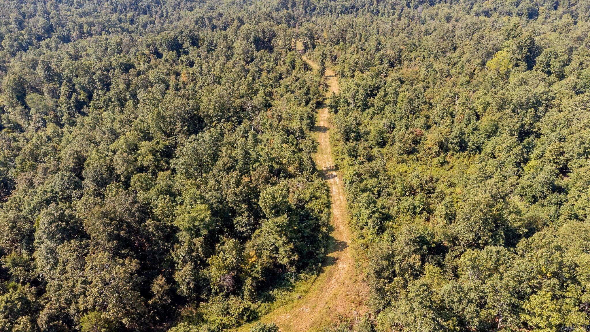 314 Bear Bluff Trail  Ravenden, AR