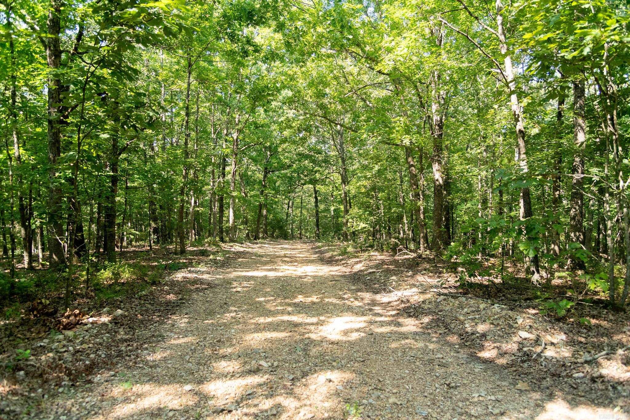 314 Bear Bluff Trail  Ravenden, AR