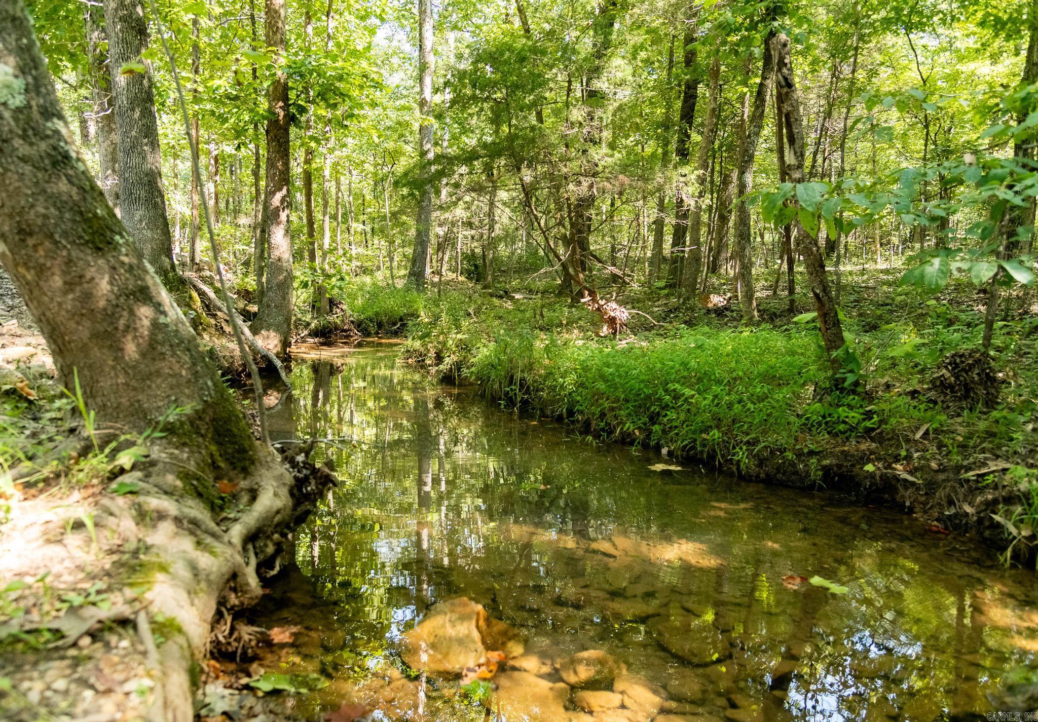 314 Bear Bluff Trail  Ravenden, AR
