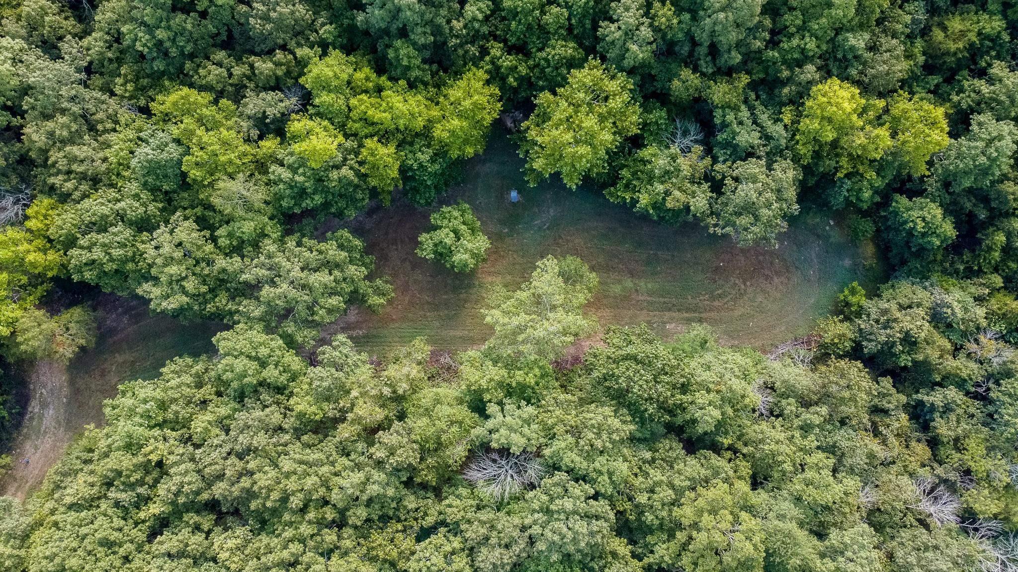314 Bear Bluff Trail  Ravenden, AR
