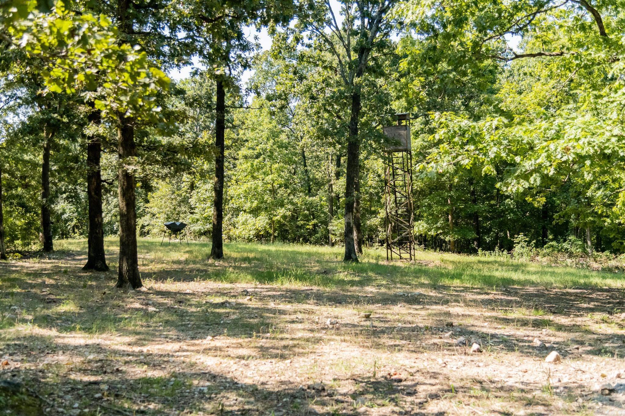 314 Bear Bluff Trail  Ravenden, AR